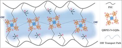  Quaternized Polyethyleneimine: Bir Çok Yönlü Polimer Malzemesi İçin Şaşırtıcı Uygulamalar mı?