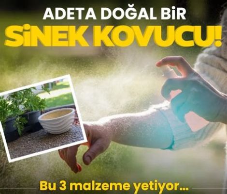 Silis Kullanımıyla İlgili Detaylı Bilgiler: Doğal Kaynaklardan Günlük Hayata!